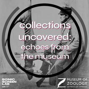 Echoes from the Museum
