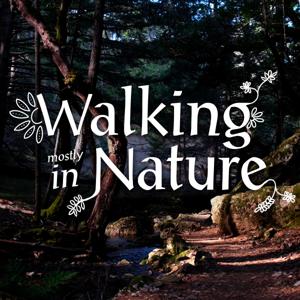 Walking in Nature: field recording, walking and talking