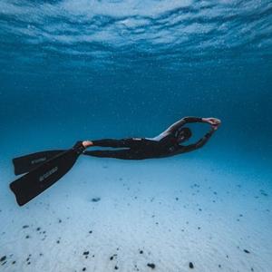 Gregory Felber - A Dedicated Researcher