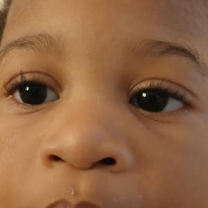 Veterinários angolanos apostam na pecuária