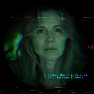 Leaked Memos from 2048: Veil Between Shadows