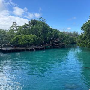God, Bitcoin, and Other Things in Vanuatu