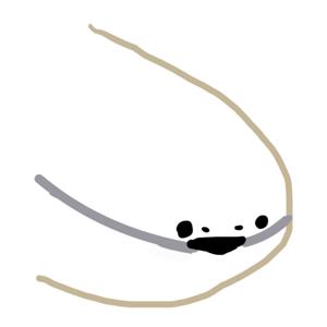 KPOP 追星人的天地