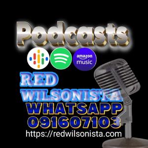 En perspectiva con Red Wilsonista