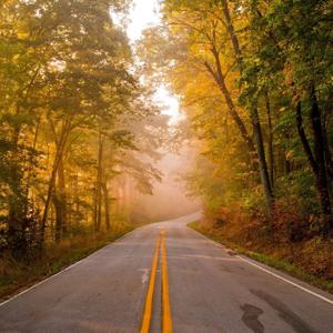 The Road You Travel