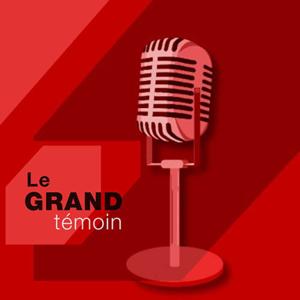 Grand témoin