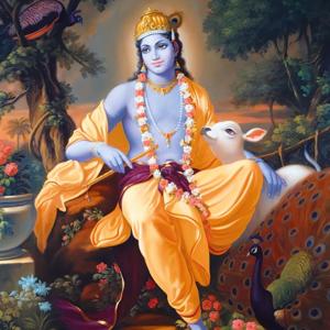 Srimad Bhagavatam Canto 1 lectures