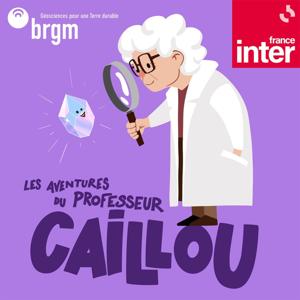 Les aventures du professeur Caillou