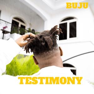 TESTIMONY