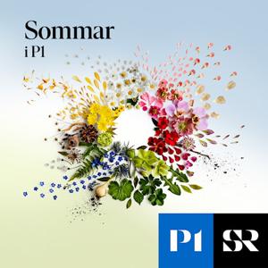 Sommar & Vinter i P1 — SR-restored