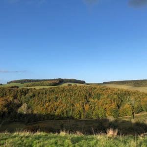 Two Peas In A Podcast