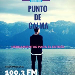 Punto de Calma