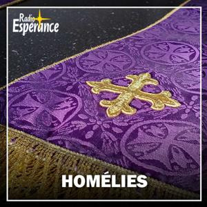 Les homélies des dimanches et jours de fête