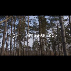 Det Liminale rum - vilkåret for at skabe i spændingsfeltet mellem natur og kultur.