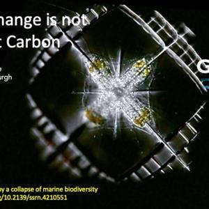 Carbon mitigation is not going to stop catastrophic climate disruption