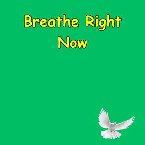 Breathe Right Now: Mindfulness on Repeat