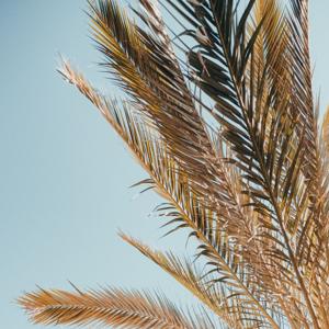 Trabalho de história