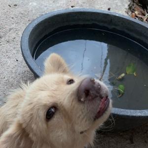 Componentes de un sistema computacional