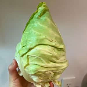 井上咲楽のキャベツは踊った