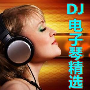 电子琴DJ纯音乐精选