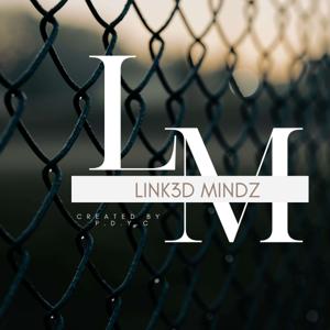 Link3dMindz