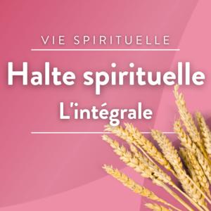 Halte spirituelle, l'intégrale by Véronique Alzieu,Madeleine Vatel