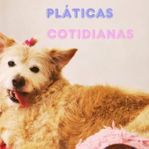 Pláticas cotidianas