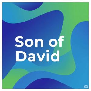 The Son of David