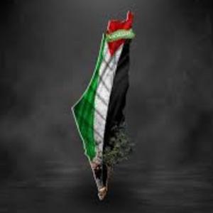 Palestinian Stories