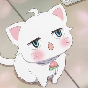 The Cat Is My Boss