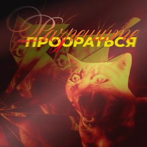 Разрешите проораться