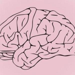 The unKayged Diaries by Kay M