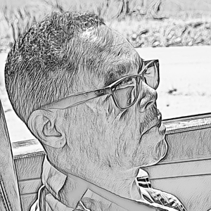 The Musings of a Fool