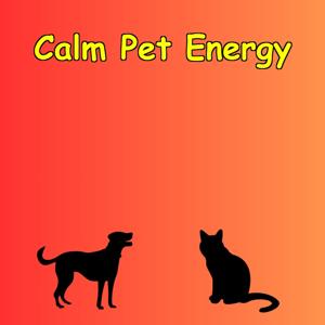 Calm Energy for Pet Parents | Daily Affirmations That Work
