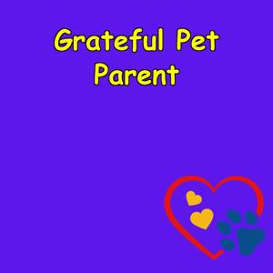 Affirmations for Grateful Pet Owners |  Daily Reflections