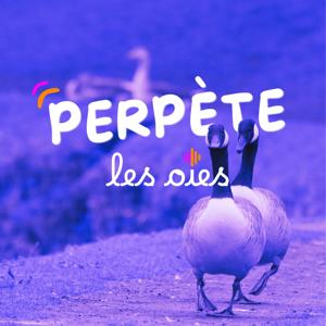 Perpète les oies