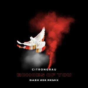 echoes of you (DASH 256 Remix)