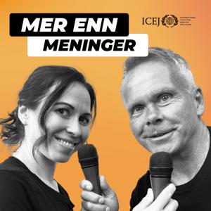 Mer enn meninger