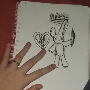 am bunni