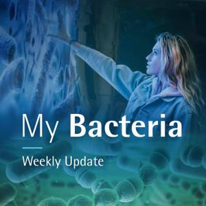 My Bacteria | Weekly Update