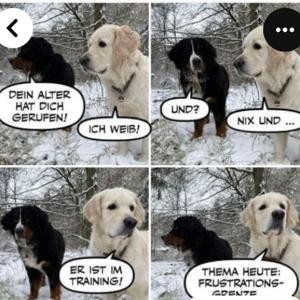 Faire Hundeerziehung leicht gemacht