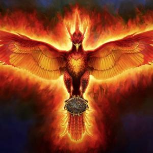 Rise of the The Phoenix
