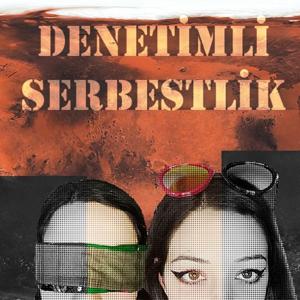 Denetimli Serbestlik
