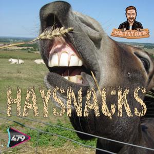 Haysnacks