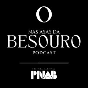NAS ASAS DA BESOURO