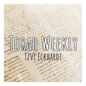 Torah Weekly