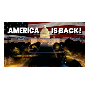 THE WILL JOHNSON SHOW