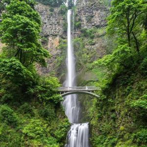 Episodio 1 – Bienvenida a Naturalmente F