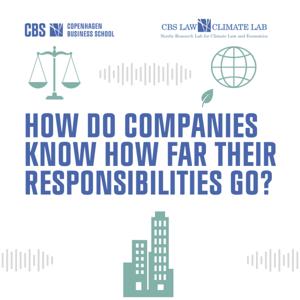 How do Companies Know How Far Their Responsibilities Go?