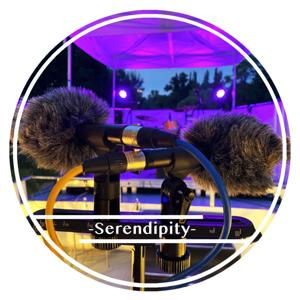SerendipityCx